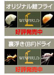 Winfield��